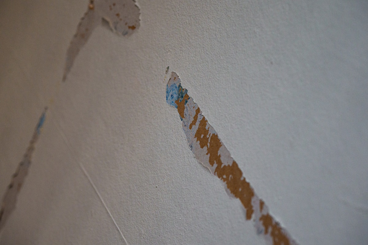 Structural Drying service in Tucson, AZ
